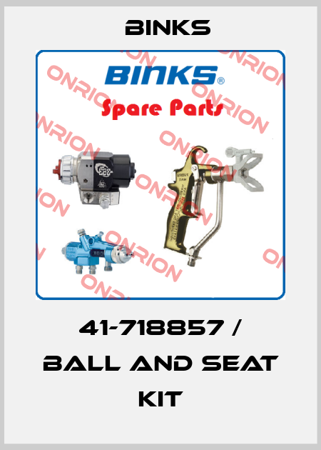 41-718857 / Ball and Seat Kit Binks
