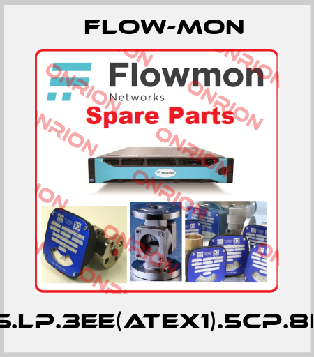 FMM.10.SS.LP.3EE(ATEX1).5CP.8F150.S3.D1 Flow-Mon