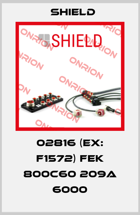 02816 (ex: F1572) FEK 800C60 209A 6000 Shield