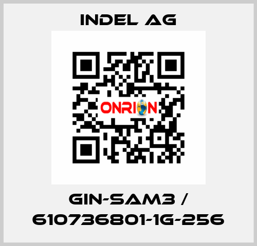 GIN-SAM3 / 610736801-1G-256 INDEL AG