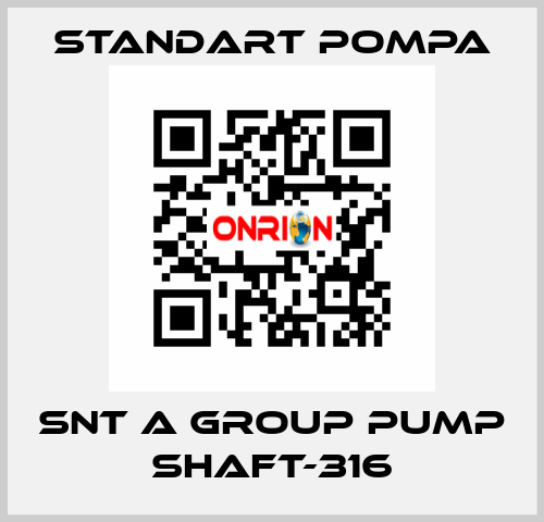 SNT A GROUP PUMP SHAFT-316 STANDART POMPA