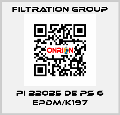 PI 22025 DE PS 6 EPDM/K197 Filtration Group