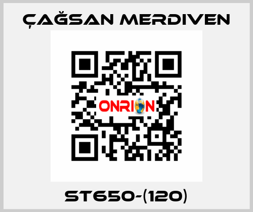 ST650-(120) Çağsan Merdiven