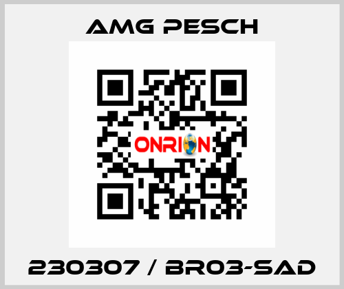 230307 / BR03-SAD AMG Pesch