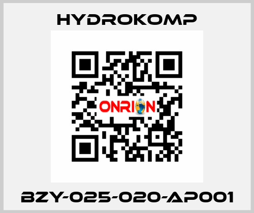 BZY-025-020-AP001 HYDROKOMP