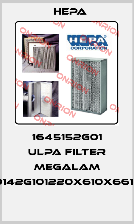 1645152G01 Ulpa Filter Megalam MD142G101220x610x661PU  HEPA