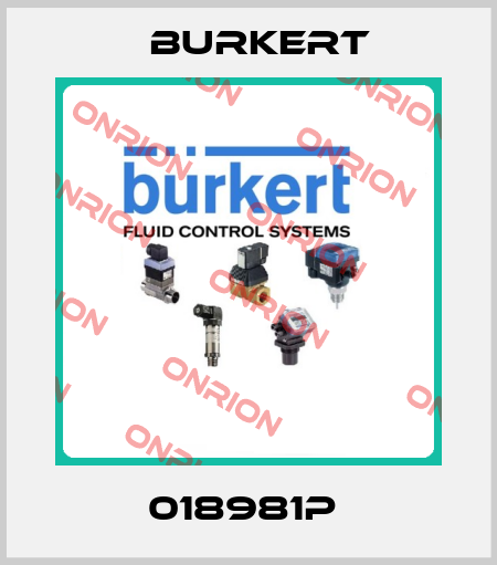 018981P  Burkert