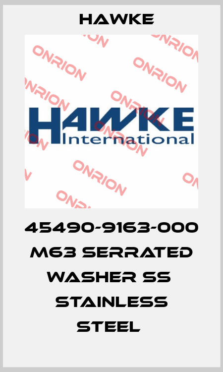 45490-9163-000  M63 Serrated washer SS  Stainless Steel  Hawke