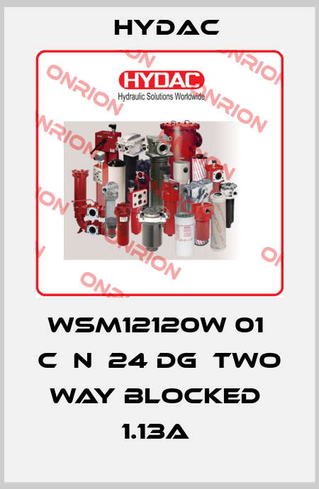 WSM12120W 01  C  N  24 DG  Two way blocked  1.13A  Hydac