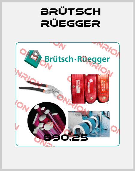 890.25  Brütsch Rüegger