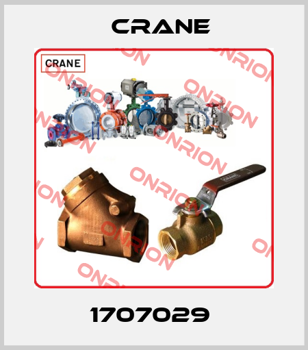 1707029  Crane