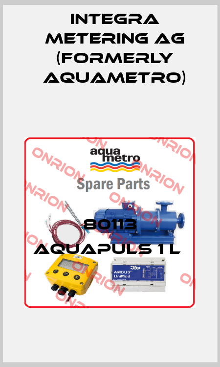 80113 aquapuls 1 l  Integra Metering AG (formerly Aquametro)