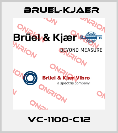 VC-1100-C12 Bruel-Kjaer