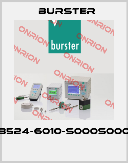8524-6010-S000S000  Burster