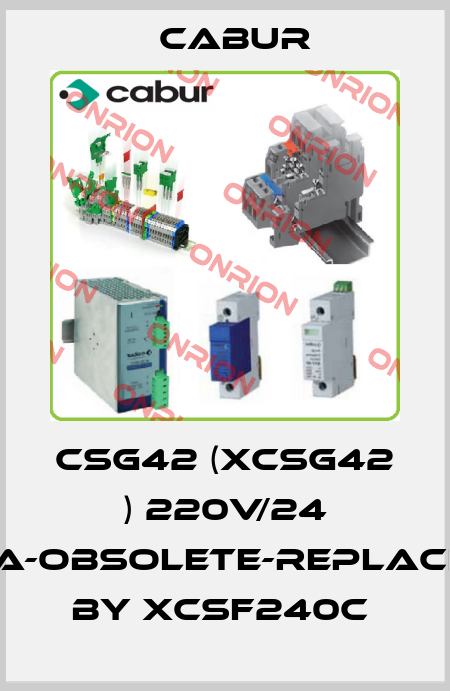 CSG42 (XCSG42 ) 220V/24 10A-obsolete-replaced by XCSF240C  Cabur