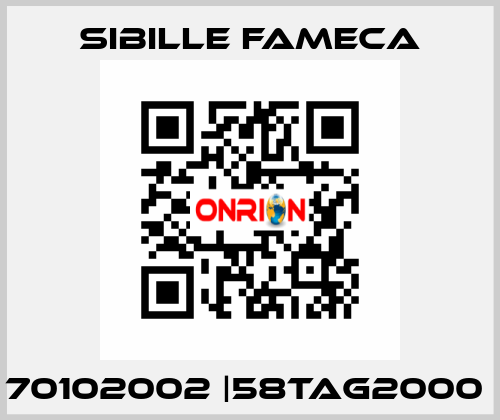 70102002 |58TAG2000  Sibille Fameca