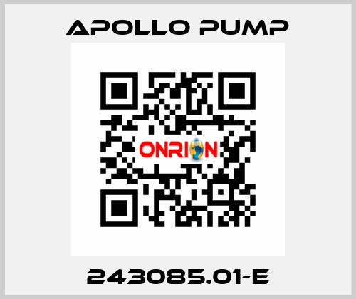 243085.01-E Apollo pump