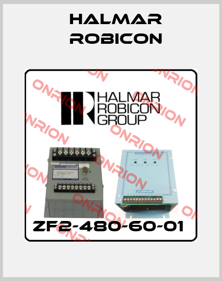 ZF2-480-60-01  Halmar Robicon