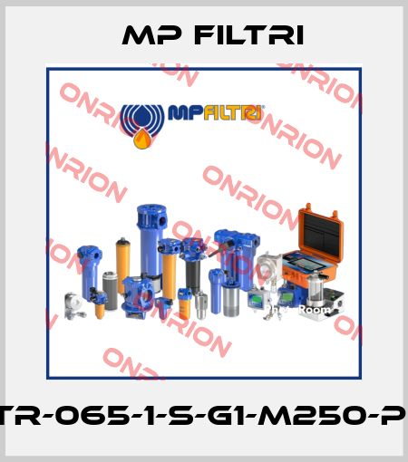 STR-065-1-S-G1-M250-P01 MP Filtri