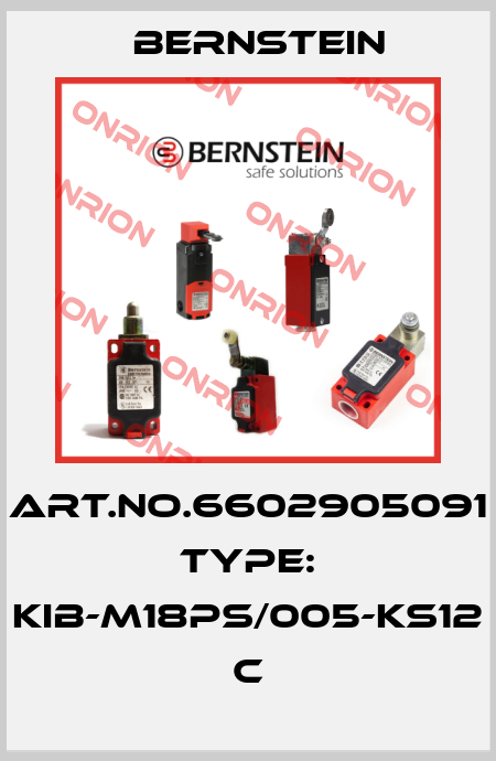 Art.No.6602905091 Type: KIB-M18PS/005-KS12           C Bernstein