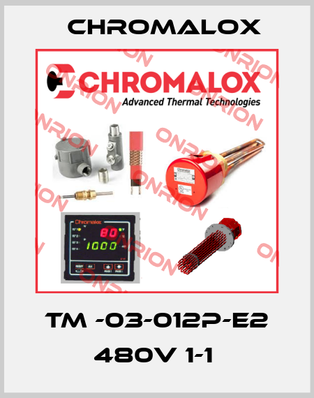 TM -03-012P-E2 480V 1-1  Chromalox