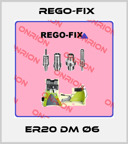 ER20 DM Ø6  Rego-Fix