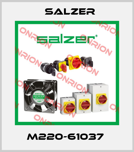 M220-61037  Salzer