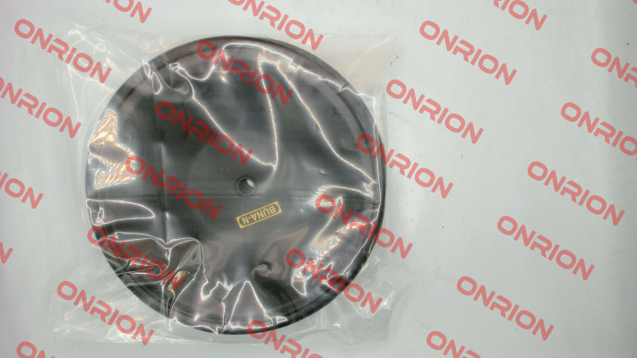 160 4020B DP-25 Diaphragm Buna / 3008587 TERYAIR