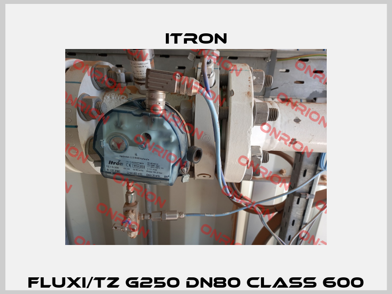 Fluxi/TZ G250 DN80 Class 600 Itron