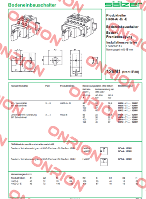 H410-41300-126M1 Salzer