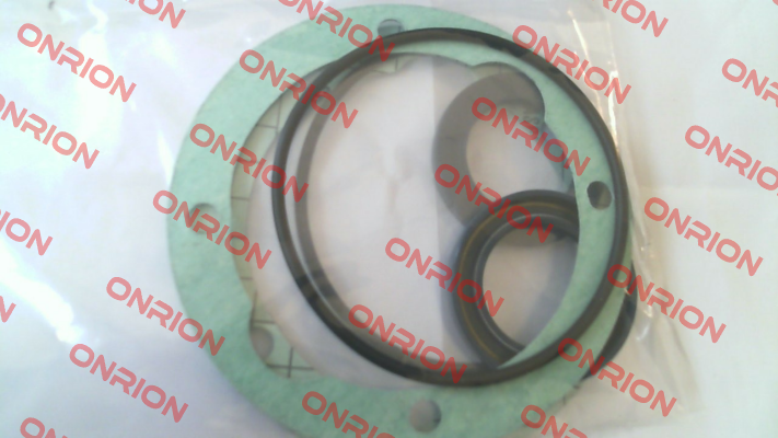 Seal KIT for GR45-SMT16B-180L-RF1 Settima