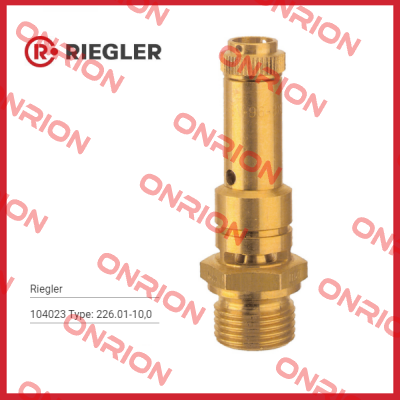 104023 Type: 226.01-10,0 Riegler