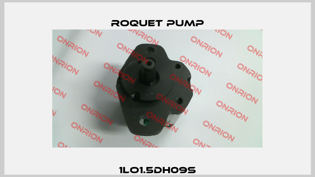 1LO1.5DH09S Roquet pump
