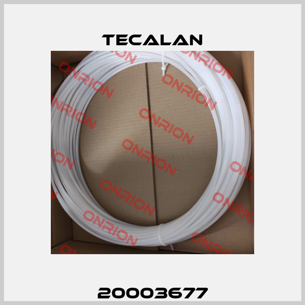 20003677 Tecalan