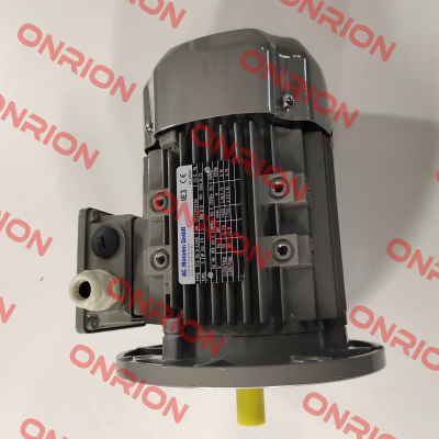 FCA 80B-4/PHE AC Motoren