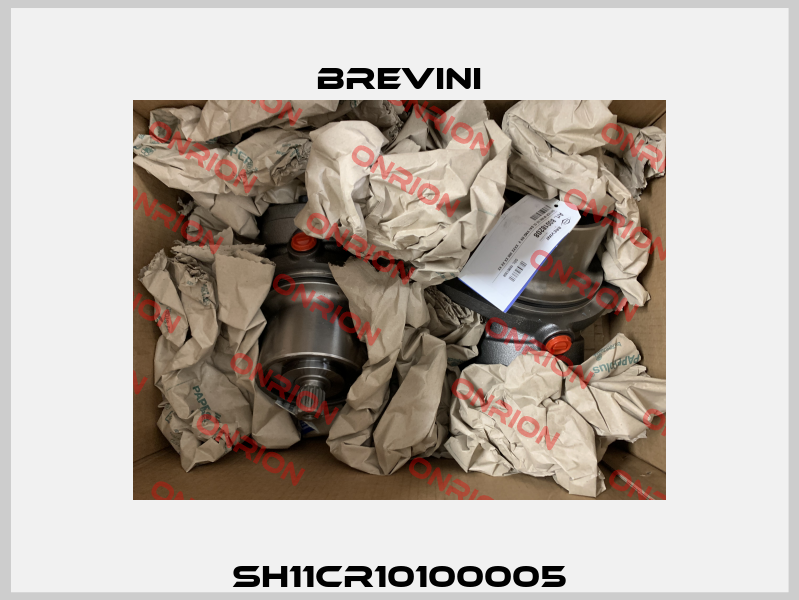 SH11CR10100005 Brevini