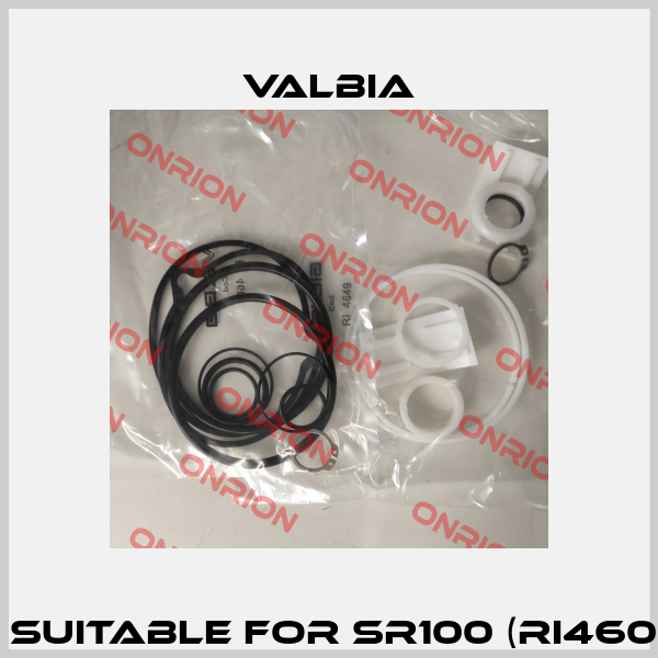 Repair kit suitable for SR100 (RI4607 + RI4649) Valbia