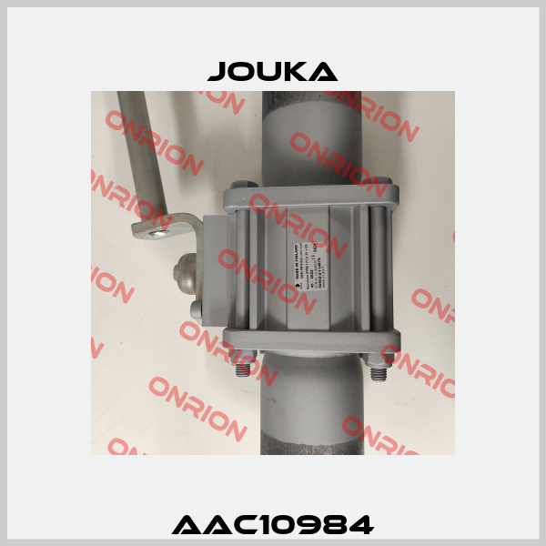 AAC10984 Jouka