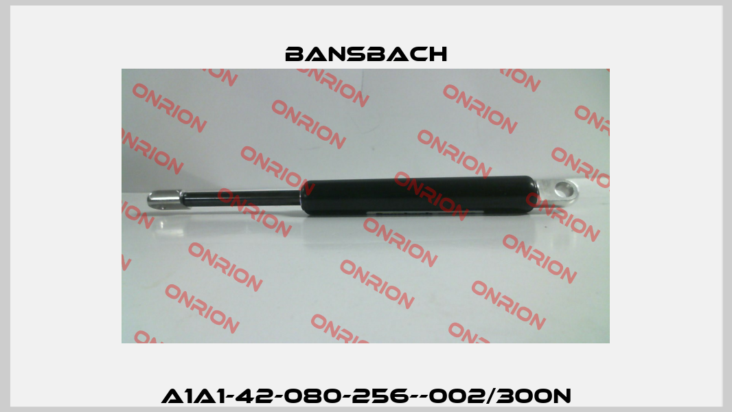A1A1-42-080-256--002/300N Bansbach